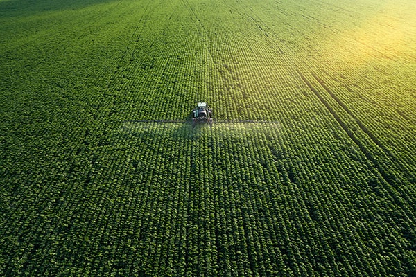 Agriculture fertilizer